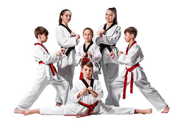 6299caf1439e5vo-taekwondo-1.jpg