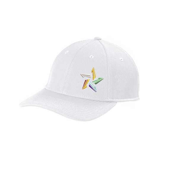 https://lonestarbadminton.com/public/products/ne209-new-era-performance-dash-adjustable-cap