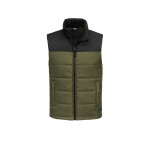 NF0A529A The North Face® Everyday Insulated Vest